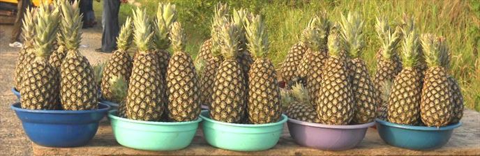 Fruit market in Ghana