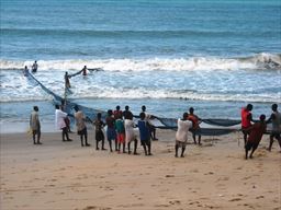 Dragging a fishing net from the ocean