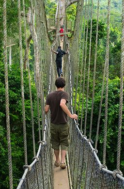 Canopy walkway at Kakum National Park
