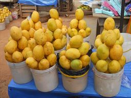 baskets of mango