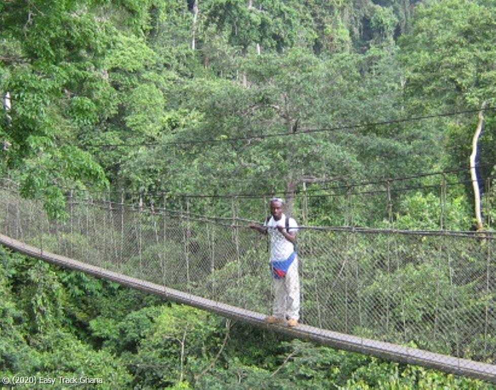 Canopy walkway Rainforest canopy walkway at Kakum National Park in Ghana